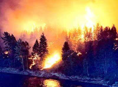 UPDATE: 75-hectare wildfire near Houston contained