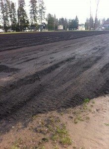 field1