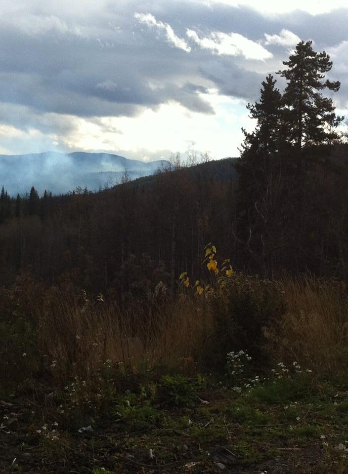 Controlled burns planned in Nadina Fire Zone near Burns Lake and Houston