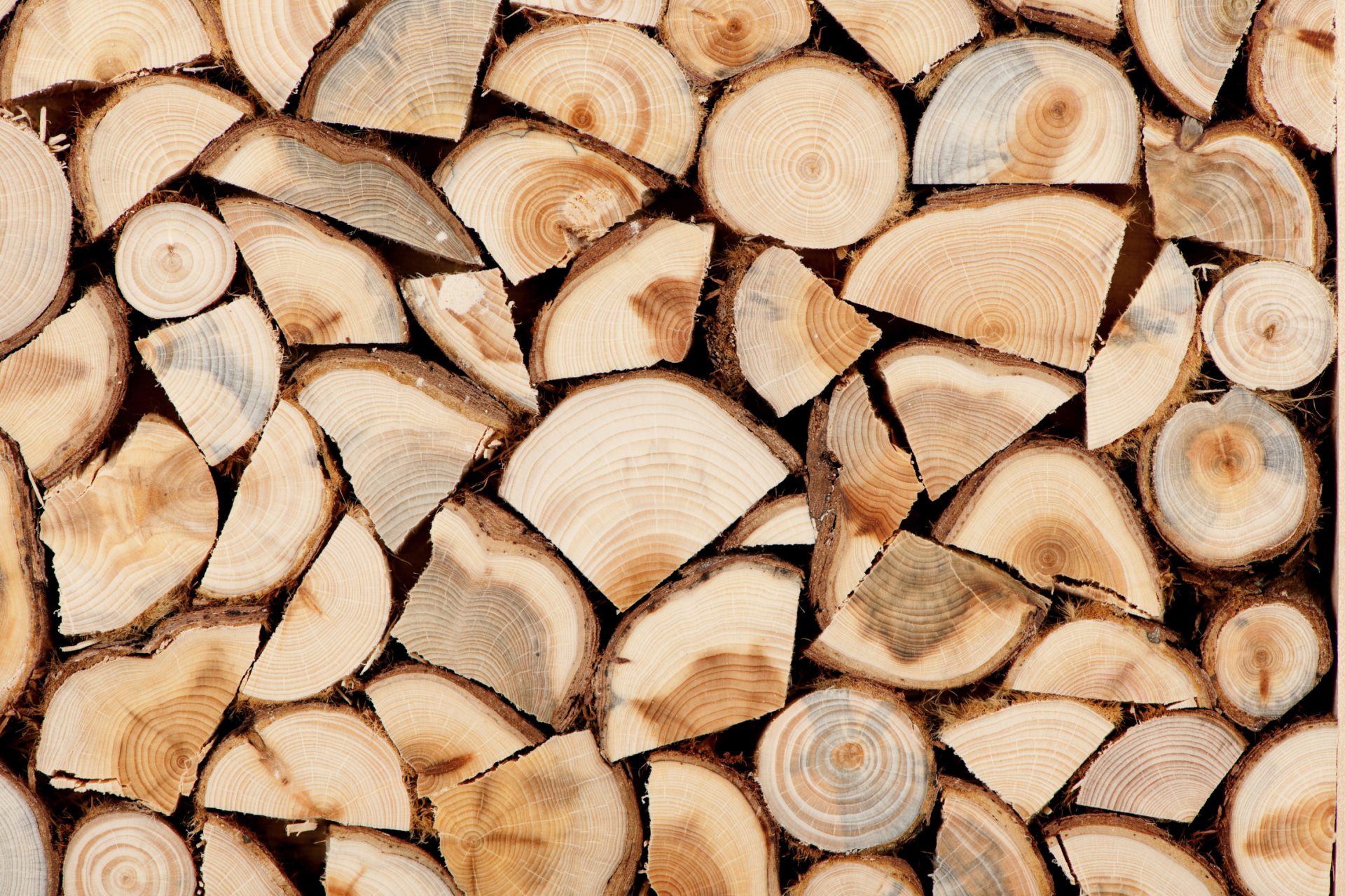 Looming reduction to Annual Allowable Cut in Northern BC crosses political lines