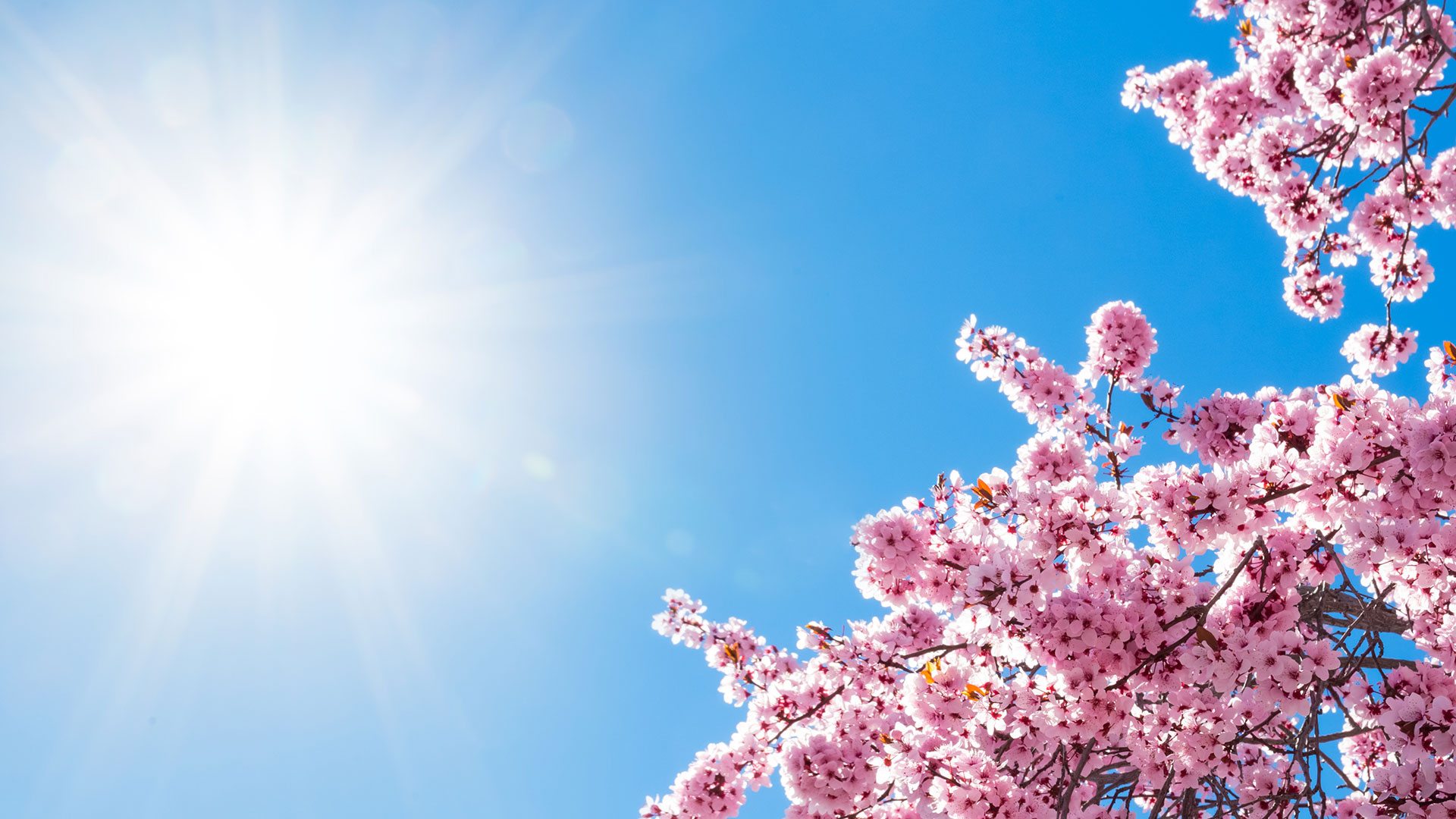 Spring may be here in North-West BC