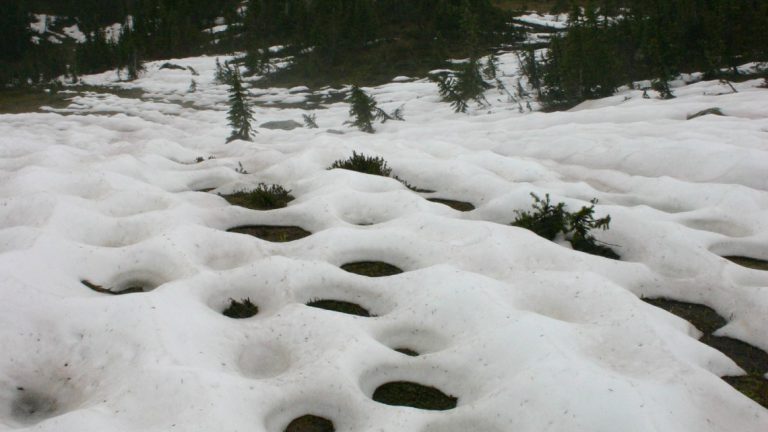 BC experiencing early snow-melt season