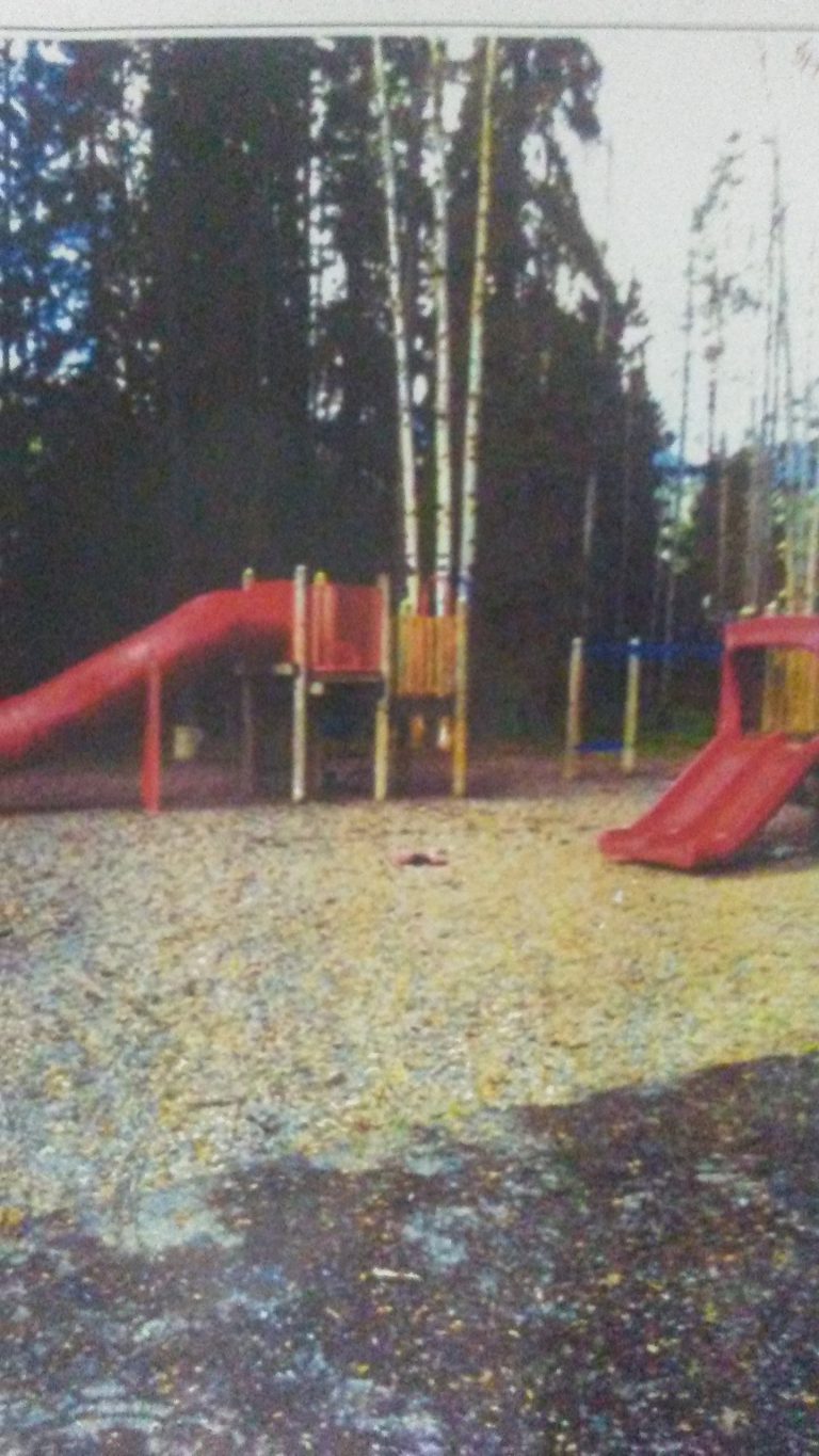 New Rules For Playgrounds put fixing Dogwood Park in Smithers Above the $30,000 Mark