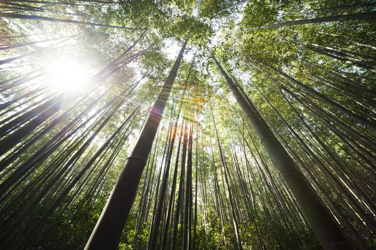 Warmer than normal summer predicted for Smithers and Bulkley Valley