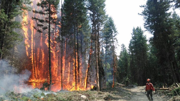Fort McMurray residents to assist communities ravaged by BC wildfires