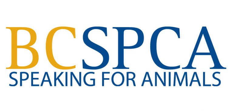Pet safety crucial during latest heatwave : BC SPCA
