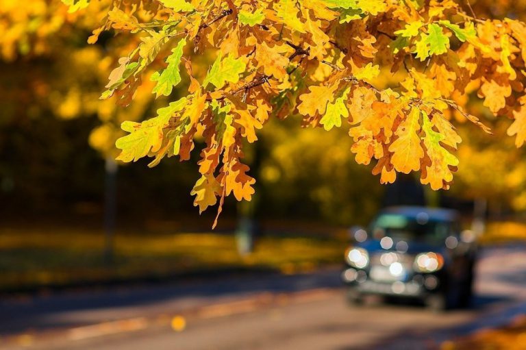 Thanksgiving long weekend driving tips