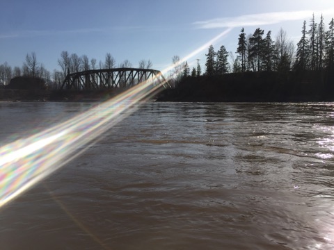 UPDATE: Bulkley and Nautley Rivers downgraded