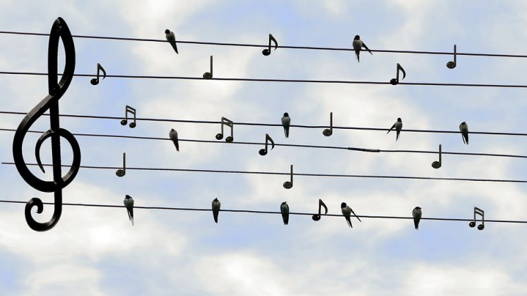 Male Orpheus Choir makes their way through Northern BC