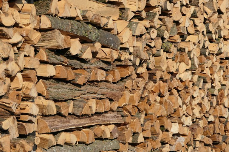Permits to cut and collect firewood on crown land now available online