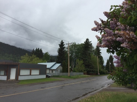 Bulkley Valley and Lakes District Weather Update, June 8th