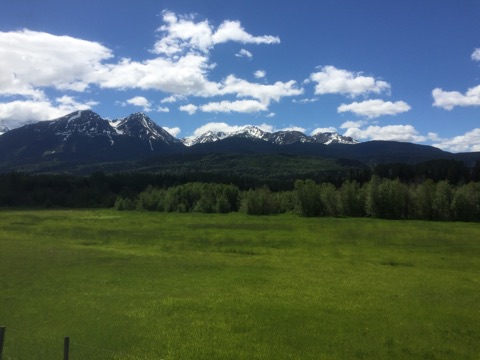 Bulkley Valley and Lakes District Weather Update, June 15th