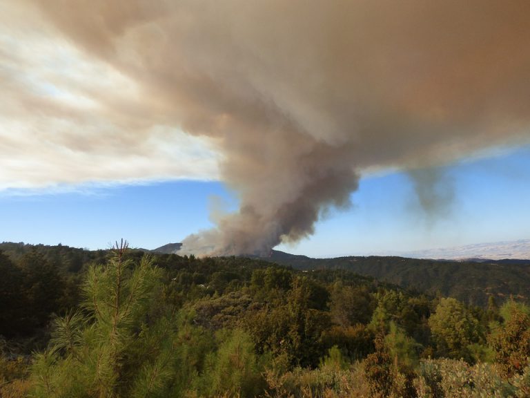 BVLD Wildfire Update: June 28th
