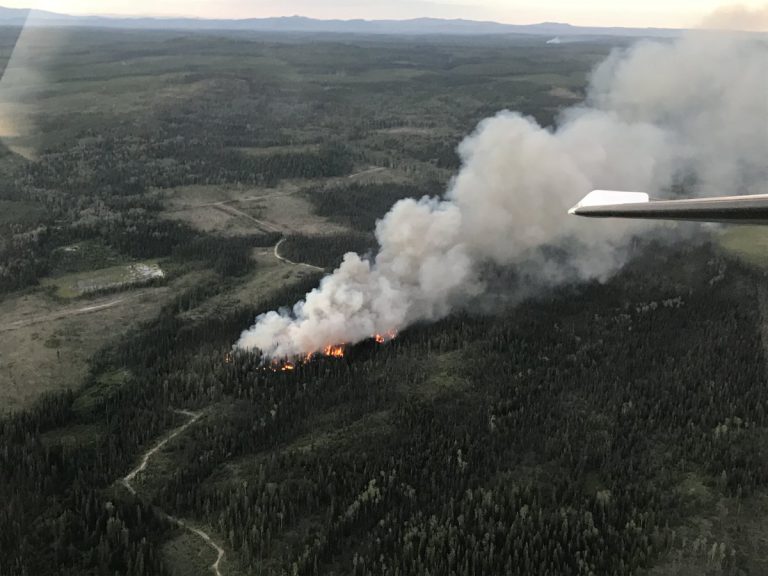 Dog Creek Trail Wildfire being held after mild weekend in the RDBN