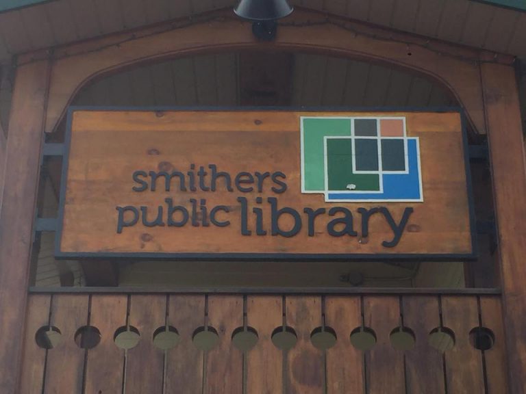 Art Gallery, Library, and Veterans Park design concept Open House