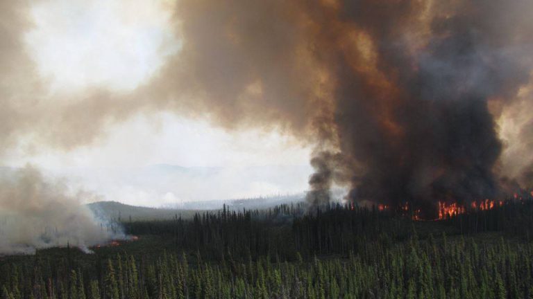 BC declares province-wide state of emergency due to wildfires