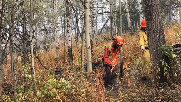 “I don’t think we understood the gravity of it until we actually got here”: Wildfire fighter