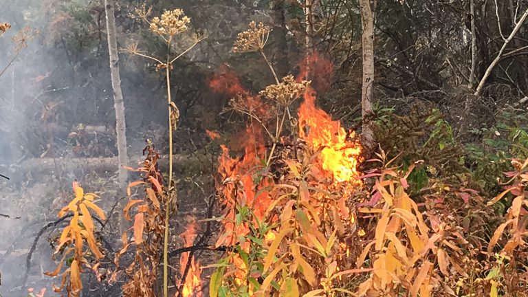“We try to get as much coverage as possible;” BC Wildfire Service crew member