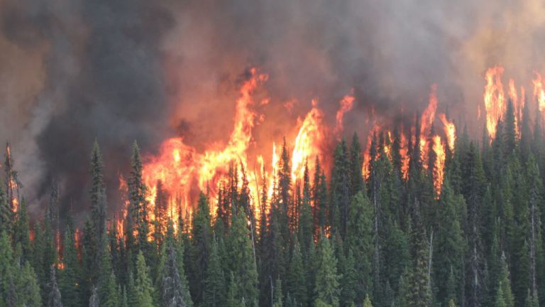 Shovel Lake Wildfire now being held by crews