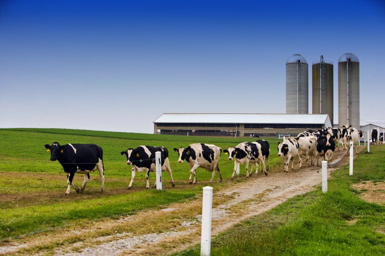 New United States-Mexico-Canada Agreement bad for business in the Bulkley Valley