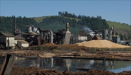 Hampton Lumber buys Conifex sawmill in Fort Saint James