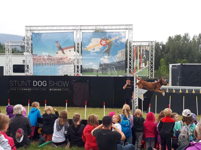Canine Stars back again at the BVX