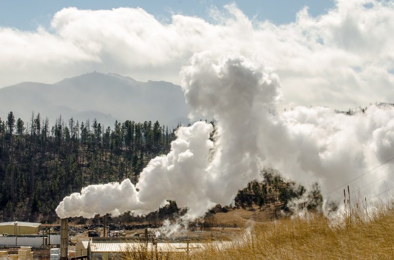 Smithers Mayor among other mayors to call on federal government to support forestry workers