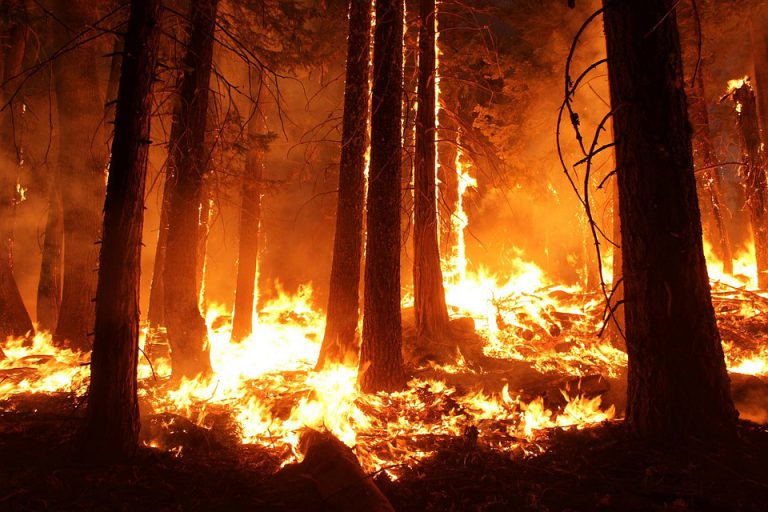 New wildfire by Highway 37