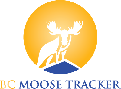App helps province monitor moose populations