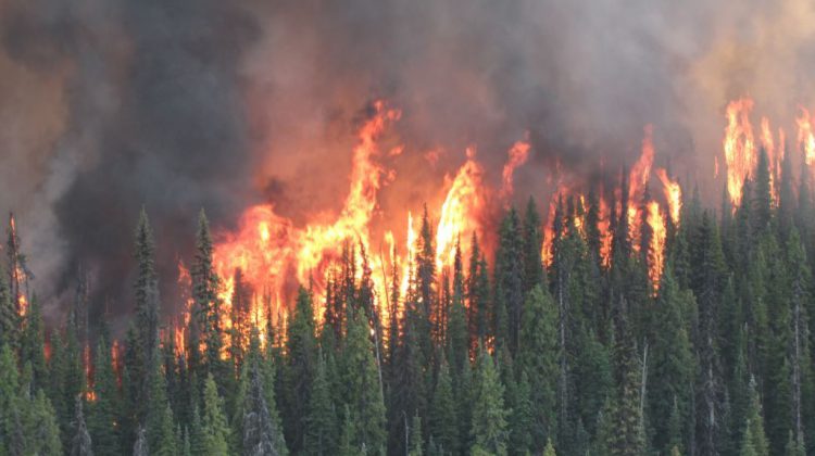 Pile burns planned at site of 2018 Nechako Valley wildfire