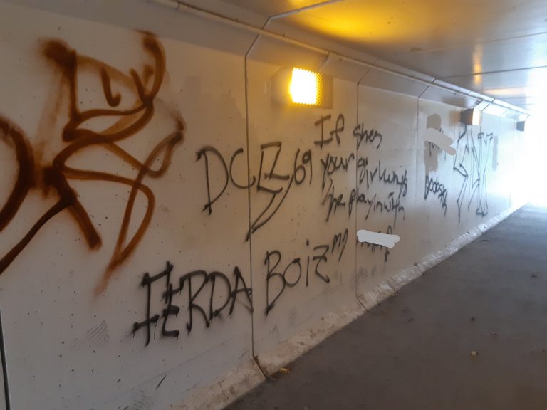 Several areas in Telkwa vandalized