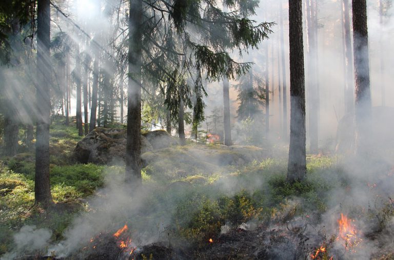BC Wildfire Service warning of smoke in Northwest Fire Center