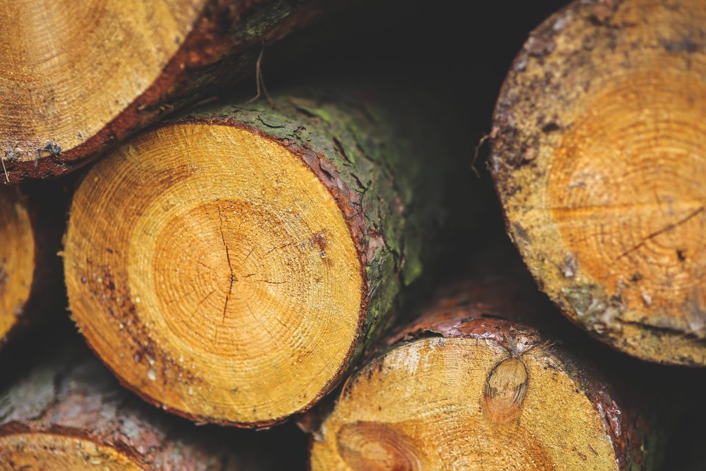 Carrier Lumber under the microscope: Forest Practices Board to begin ...