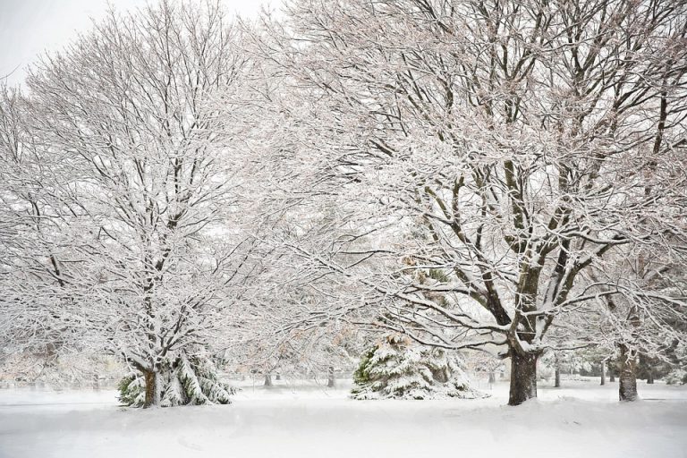 Snowfall warning in effect for Bulkley Valley and Lakes District