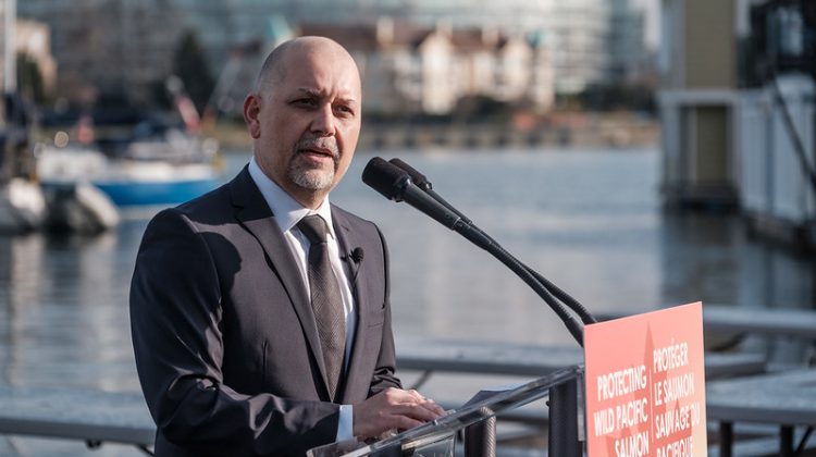 BC Green Party postpones leadership contest