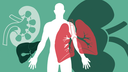 Northern Health seeing an uptick in organ recipients