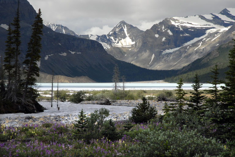 Six BC parks including Mount Robson now requiring pre-booked day passes