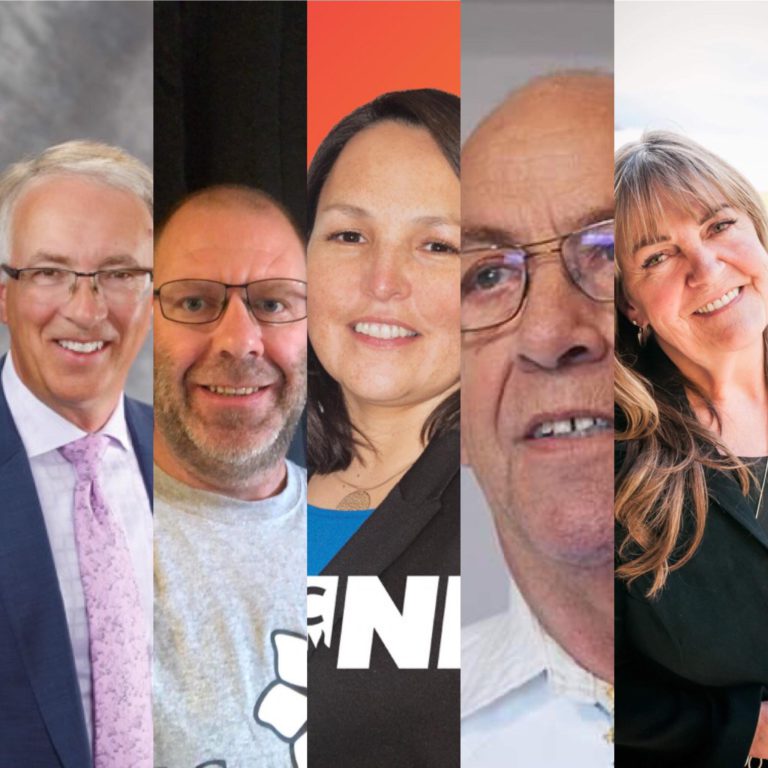 ELECTION 2020: Meet the candidates of the Nechako Lakes riding