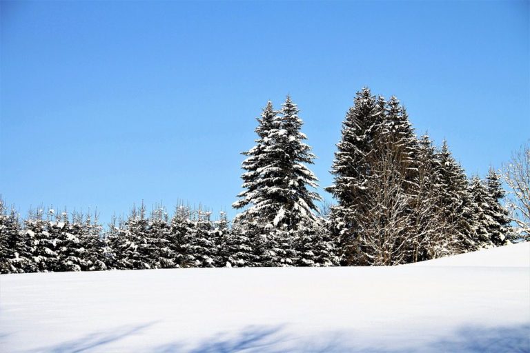 Mild Christmas Day temperatures on the horizon for PG and Smithers