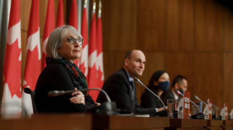 Federal Health Minister says groundwork being laid for national suicide prevention line