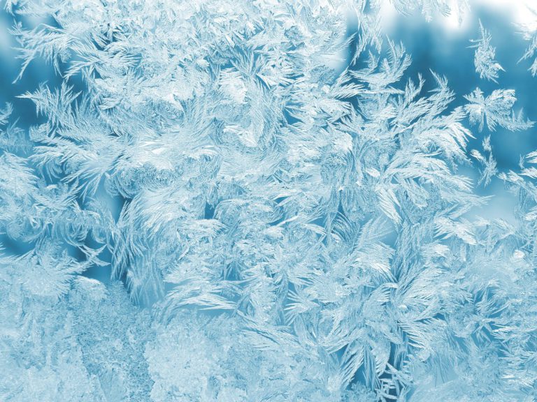 Windy weather brings about special weather statement