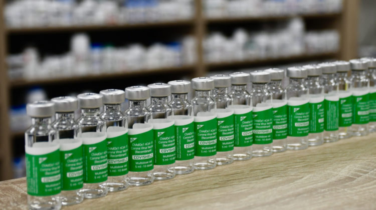 Provincial vaccine rollout plan pushes forward
