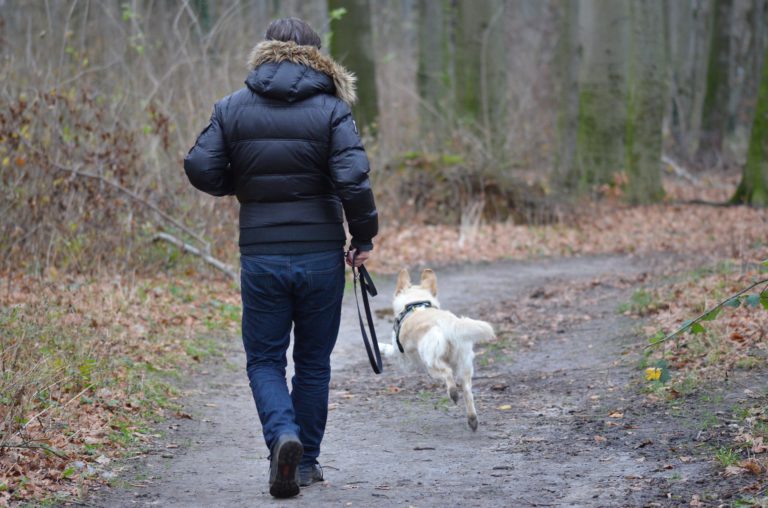 Tick time! Northern BC pet parents urged to be wary of ticks this season