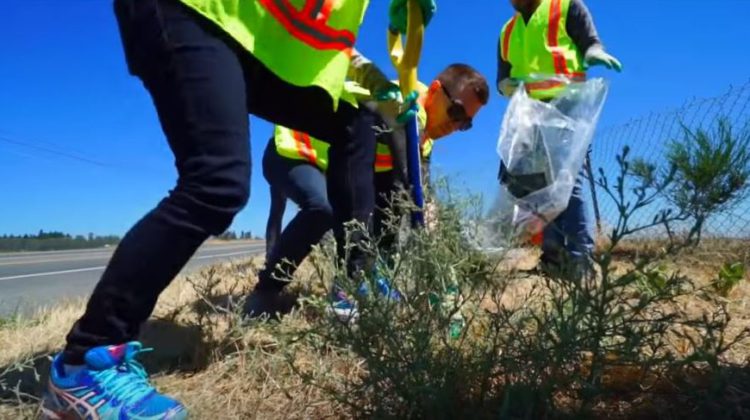 Sections of Highway 97 up for grabs in Adopt a Highway program