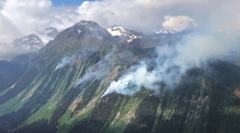 United Nations expert says artificial intelligence could help BC detect fires