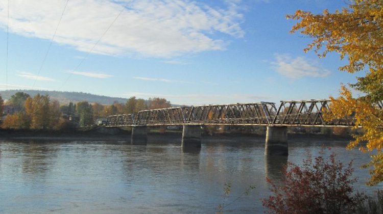 Man arrested in Quesnel after jumping into the Fraser River to evade police