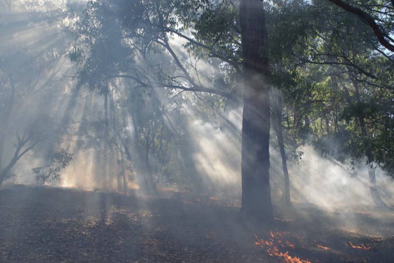 Five controlled burns upcoming in Bulkley Fire Zone, smoke may be visible