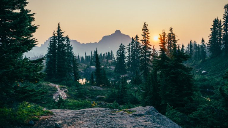 Environmental projects could receive $50,000 through CNC legacy fund