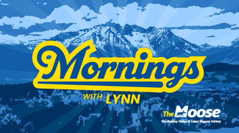 Moose Mornings With Lynn