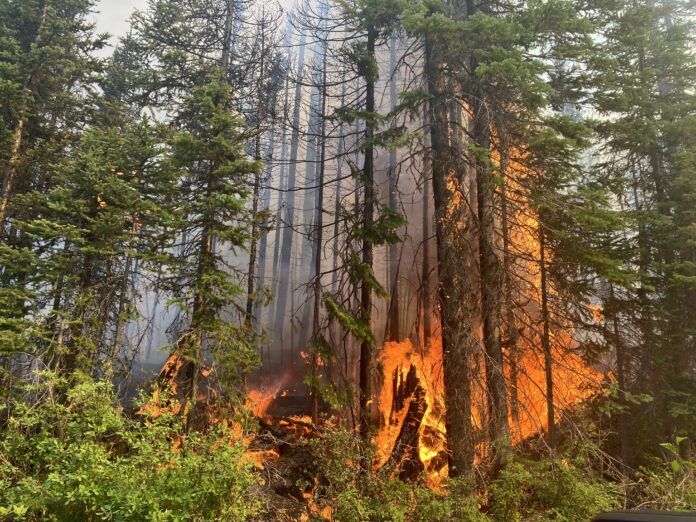 BC implementing Emergency Management Act in response to climate crisis